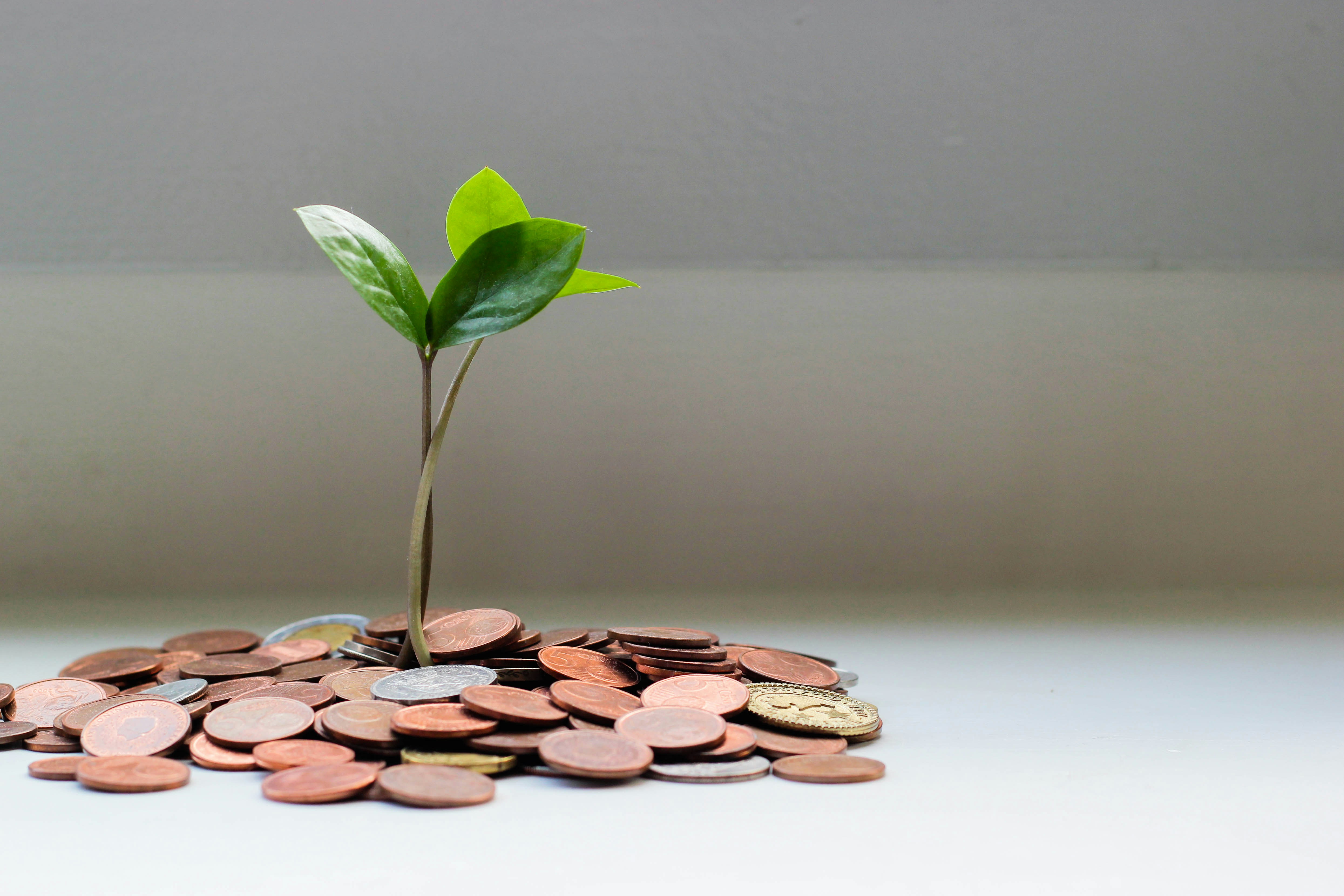 Hoe begin je met investeren bij NEO Finance?