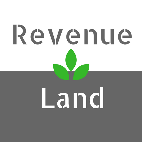 Overview of the NEO Finance platform by Revenue Land blog